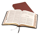 KJV Text Bible: Black, Calfskin, Thumb Index