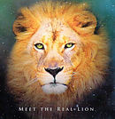Meet The Real Lion