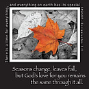Seasons Change Magnetic Picture Frame