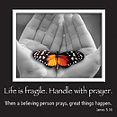 Life is Fragile Magnetic Picture Frame