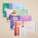 Birthday - Birthday Brights - 12 Boxed Cards
