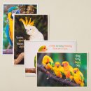 Birthday - Feathered Friends - 12 Boxed Cards