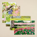 Get Well - Spring Time - 12 Boxed Cards