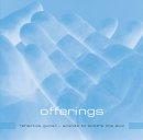 offerings Reflective Instrumental Guitar