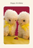 Happy Birthday Card - Single