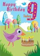 9th Birthday Card - Pack of 6