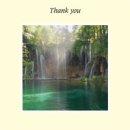 Waterfall: Thank You Card - Pack of 6