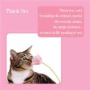 Cat: Thank You Card - Single