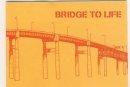 Bridge to Life