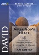 David - After God's Heart: Spring Harvest Bible Study Workbook