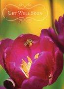 Nature's Friend Get Well Cards - Box of 12