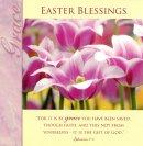 Grace  Easter Blessings Cards - Pack of 4