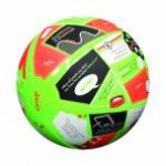 Throw and Tell Life Application Ball