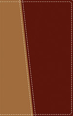 Amplified Topical Reference Bible: Tan / Burgundy, Italian Duo Tone