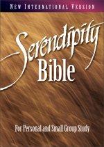 NIV Serendipity Bible: Hardback
