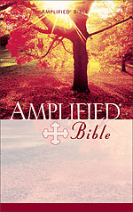 Amplified Bible: Paperback