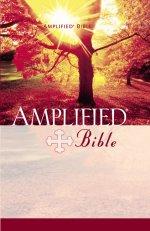 Amplified Bible: Hardback