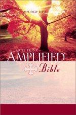 Amplified Large Print Bible: Hardback