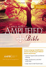 Amplified Large Print Bible: Burgundy, Bonded Leather