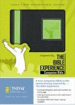 TNIV Bible Experience Companion Bible: Paperback