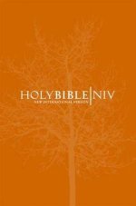 NIV Popular Bible: Orange, Paperback (British Text)