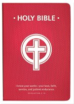 NRSV Nurse's Gift Bible: Red, Imitation Leather