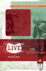 NLT Live Bible: Rose Glimmer, Leatherlike