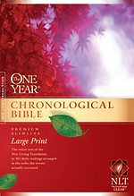 NLT One Year Chronological Slimline Bible: Hardback, Large Print