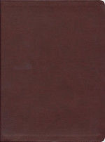 The Message Large Print : Burgundy, Leather Look