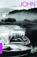 NIV John's Gospel: Paperback - Pack of 20