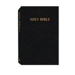NCV: Everyday Reading Bible, Paperback