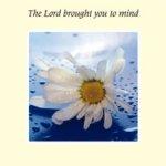 The Lord Brought You To Mind Card - Pack of 6