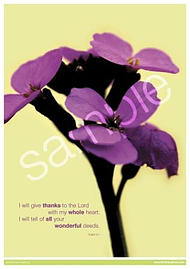 I will give thanks Poster