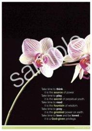 Take time to think Poster