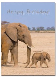 Happy Birthday Cards - Pack of 4
