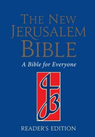 NJB Reader's Bible: Blue, Hardback