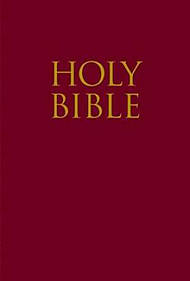 KJV Bible Teeny Tiny Bible Imitation Leather Red