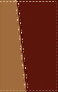 Amplified Topical Reference Bible: Tan / Burgundy, Italian Duo Tone