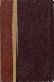 Message Parallel Study Bible-PR-NIV/MS-Numbered Personal Size