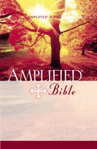 Amplified Bible: Hardback