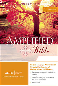 Amplified Bible: Burgundy, Bonded Leather