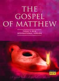 TNIV Gospel of Matthew: Paperback, Pack of 20 (British Text)
