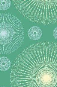 TNIV Personal Bible: Green, Satin Spirals, Hardback, British Text