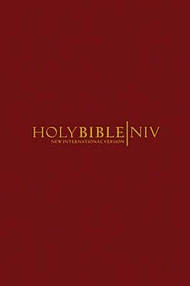 NIV Popular Pew Bible: Burgundy, Hardback - Pack of 20 (British Text)
