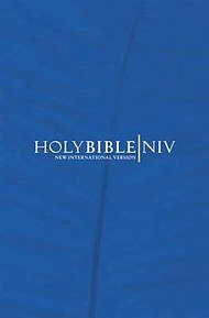 NIV Popular Economy Bible: Blue, Hardback (British Text)