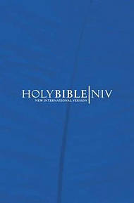 NIV Popular Economy Bible: Hardback - Pack of 20 (British Text)
