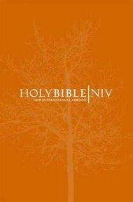 NIV Popular Bible: Orange, Paperback (British Text)