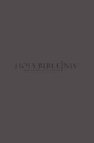NIV Popular Bible: Grey, Soft-Tone