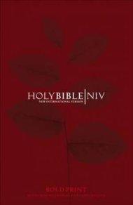 NIV Bold Print Bible: Hardback