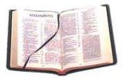 NIV Popular Cross-Reference Edition Black Calfskin 